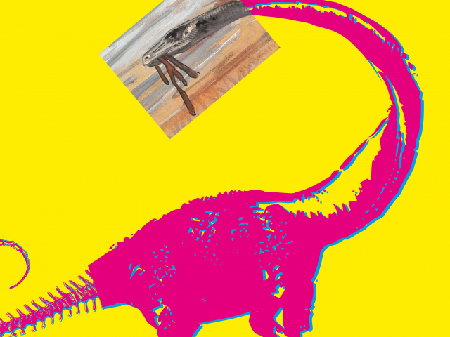 affiche-mmm-2025-49-50-474