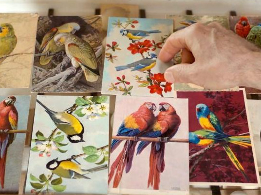 la-langue-des-oiseaux-467