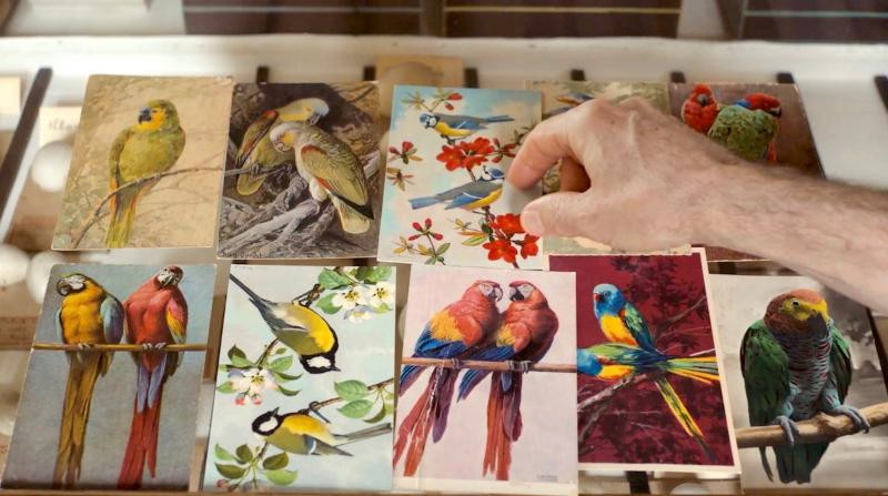 la-langue-des-oiseaux-468